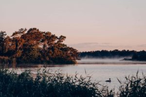 Naturbild