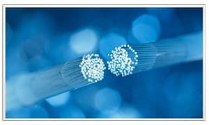 Fiber